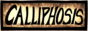 CALLIPHOSIS